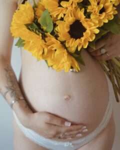 tournesol 